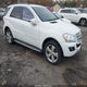 4JGBB8GB5BA675800 2011 Mercedes-Benz Ml 350 4Matic auction photo thumbnail 1