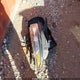 1FAHP2E81GG139988 2016 Ford Taurus Sel auction photo thumbnail 12