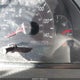 4T1BE32K45U959858 2005 Toyota Camry Xle auction photo thumbnail 7