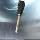 JF1GH63679H826911 2009 Subaru Impreza Outback Sport auction photo thumbnail 11