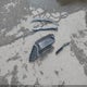 1FADP3K25DL145428 2013 Ford Focus Se auction photo thumbnail 12