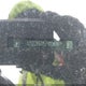 1G1ZD5ST1LF103616 2020 Chevrolet Malibu Fwd Lt auction photo thumbnail 9