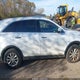 5XYPGDA51HG313379 2017 Kia Sorento 3.3L Lx auction photo thumbnail 13