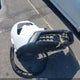 JN8BT3BB8RW281043 2024 Nissan Rogue Sv auction photo thumbnail 12