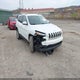 1C4PJMCB7HW529776 2017 Jeep Cherokee Latitude 4X4 auction photo thumbnail 1