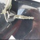 JKALZCB16GA008225 2016 Kawasaki Lz1000 B auction photo thumbnail 11
