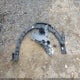 7YAKNDDCXSY013647 2025 Hyundai Ioniq 5 Sel auction photo thumbnail 12