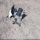 JM3ER2C35B0404998 2011 Mazda Cx-7 S Touring auction photo thumbnail 11