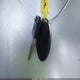 1N6ED0EA3LN712938 2020 Nissan Frontier Sv 4X2 auction photo thumbnail 11
