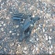 ML32AUHJ6RH014836 2024 Mitsubishi Mirage Es/Le auction photo thumbnail 12