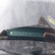 2CTALBEW2A6259137 2010 GMC Terrain Sle-1 auction photo thumbnail 9