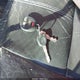 1GNSCHE04CR235967 2012 Chevrolet Suburban 1500 Ls auction photo thumbnail 11