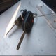 3FAHP0JA0CR109140 2012 Ford Fusion Sel auction photo thumbnail 11