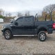 1FTPW14V18FB00433 2008 Ford F-150 60Th Anniversary/Fx4/King Ranch/Lariat/Xlt auction photo thumbnail 15