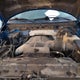 1FTFX1ETXCFB86033 2012 Ford F-150 Xlt auction photo thumbnail 10