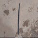 1FMCU9EG6BKA22096 2011 Ford Escape Limited auction photo thumbnail 12