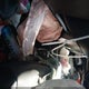 JTENU5JR8R6266652 2024 Toyota 4Runner auction photo thumbnail 11