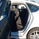 1FA6P0H71G5115779 2016 Ford Fusion Se auction photo thumbnail 8