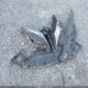 4T1M11AK8LU322995 2020 Toyota Camry Se auction photo thumbnail 12