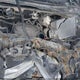 5J8TB3H72JL008659 2018 Acura Rdx Advance Package auction photo thumbnail 10