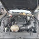 1FA6P8TH2H5334976 2017 Ford Mustang Ecoboost auction photo thumbnail 10