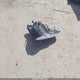 JHLRE48788C034668 2008 Honda Cr-V Ex-L auction photo thumbnail 12