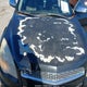 2CNALDEW1A6264204 2010 Chevrolet Equinox Lt auction photo thumbnail 6