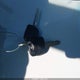 1FMYU03191KE57497 2001 Ford Escape Xlt auction photo thumbnail 11
