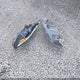KMHLS4DG6SU873023 2025 Hyundai Elantra Sel Convenience auction photo thumbnail 12