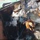 1N6SD11S0MC305566 1991 Nissan Truck Short Wheelbase auction photo thumbnail 7