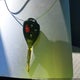 4T4BE46K79R057376 2009 Toyota Camry Le auction photo thumbnail 11