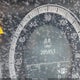 WDDHF2EB2BA385541 2011 Mercedes-Benz E 350 Bluetec auction photo thumbnail 7
