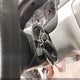 2G1WT58N789157260 2008 Chevrolet Impala Lt auction photo thumbnail 11