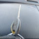 1J4GX48N82C186688 2002 Jeep Grand Cherokee Laredo auction photo thumbnail 11