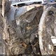 KM8J3CAL4KU963478 2019 Hyundai Tucson Limited auction photo thumbnail 7