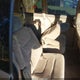 5FNRL18683B042886 2003 Honda Odyssey Ex auction photo thumbnail 8