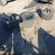 1FTPW14575KB72501 2005 Ford F-150 Fx4/Lariat/Xlt auction photo thumbnail 12