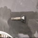 ML5EXGG13SDA59660 2025 Kawasaki Ex500 auction photo thumbnail 11