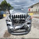 1C4PJLCB2GW291263 2016 Jeep Cherokee 75Th Anniversary auction photo thumbnail 12