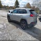 1C4PJLCB2GW291263 2016 Jeep Cherokee 75Th Anniversary auction photo thumbnail 3