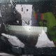 1N4BA41E25C800656 2005 Nissan Maxima 3.5 Sl auction photo thumbnail 9