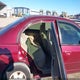 1HGES16563L009296 2003 Honda Civic Lx auction photo thumbnail 8