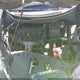 19XFB2F59FE119586 2015 Honda Civic Lx auction photo thumbnail 10