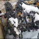 2G4GS5EK0C9128115 2012 Buick Regal Premium 1 auction photo thumbnail 7