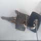 WDBAB33A5CB001513 1982 Mercedes-Benz 300 Dt auction photo thumbnail 11