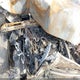 KM8R14HE9LU120447 2020 Hyundai Palisade Se auction photo thumbnail 10