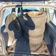 1FMZU34X4WZB02082 1998 Ford Explorer Eddie Bauer/Limited/Xl/Xlt auction photo thumbnail 12