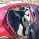 5NPDH4AE9EH531655 2014 Hyundai Elantra Se auction photo thumbnail 8