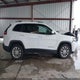 1C4PJLCB5KD490585 2019 Jeep Cherokee Latitude Fwd auction photo thumbnail 13
