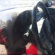 1N4AL21E07N444399 2007 Nissan Altima 2.5 S auction photo thumbnail 7
